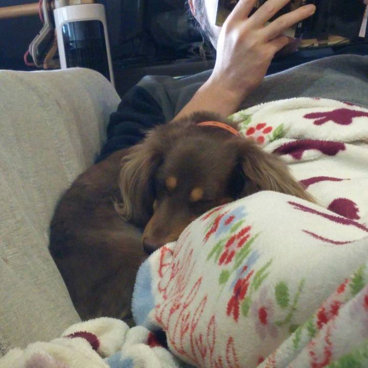 F9d18ca5 473a 42ff a8a3 ac9515c634ef 1513401388091