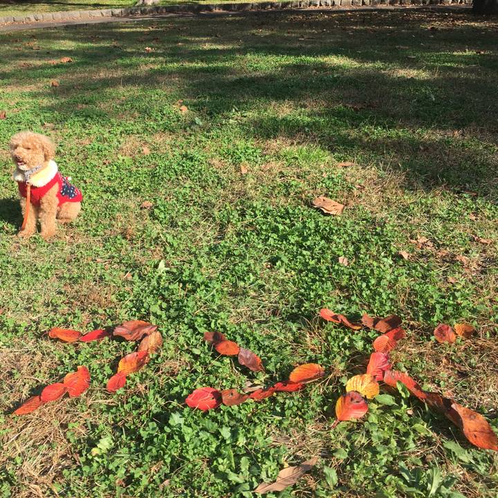 F9d1a75f 1d79 46a9 98fe d6bab96cf8cc 1542158849173