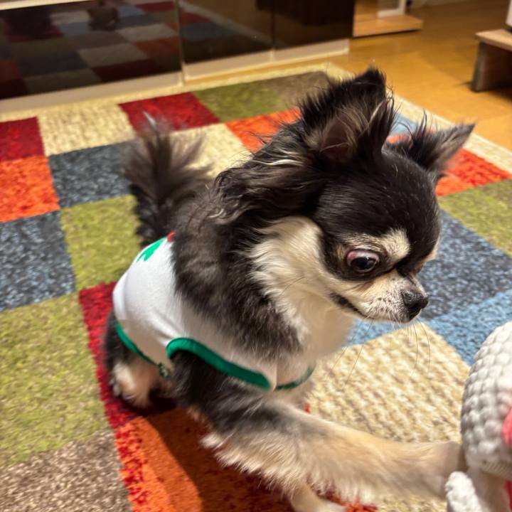 F9d1b660 4fa5 4c63 8340 f7bc04e6dcdb 1752336709822