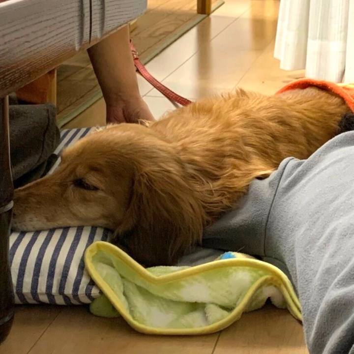 F9d1b87f c542 4258 af32 dc27d313f532 1615558143628