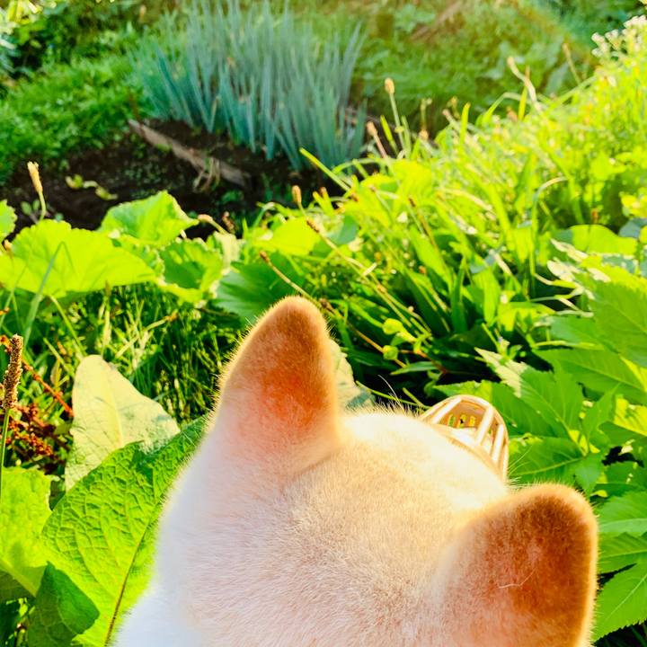 F9d1f373 ce8a 4b90 8923 53e86fcc10ca 1568669806655