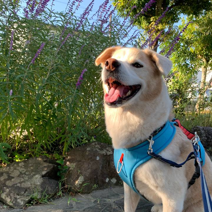 F9d1f7f5 1dbc 41d2 b0af 0fa1d22c9b22 1664673906219