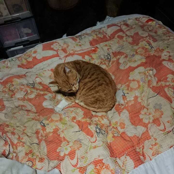 F9d22400 b19c 4e83 acdc 0273bb352442 1576928384655