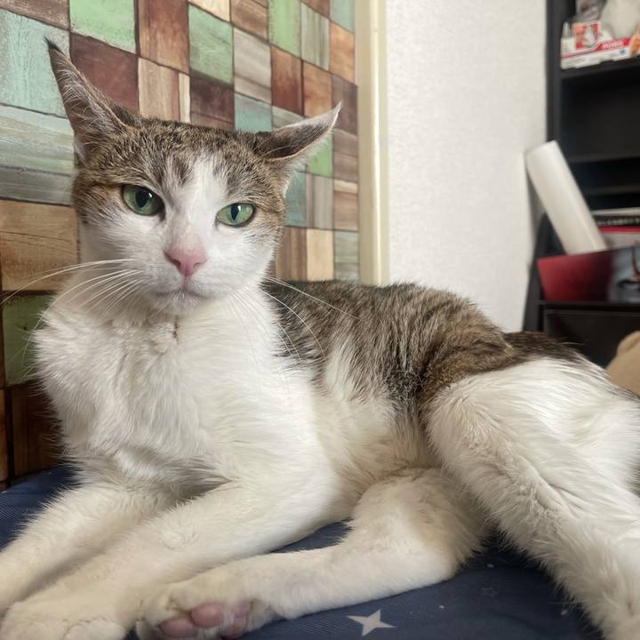 F9d266be 77e3 42cf a259 9928dbd48cca 1640142904210