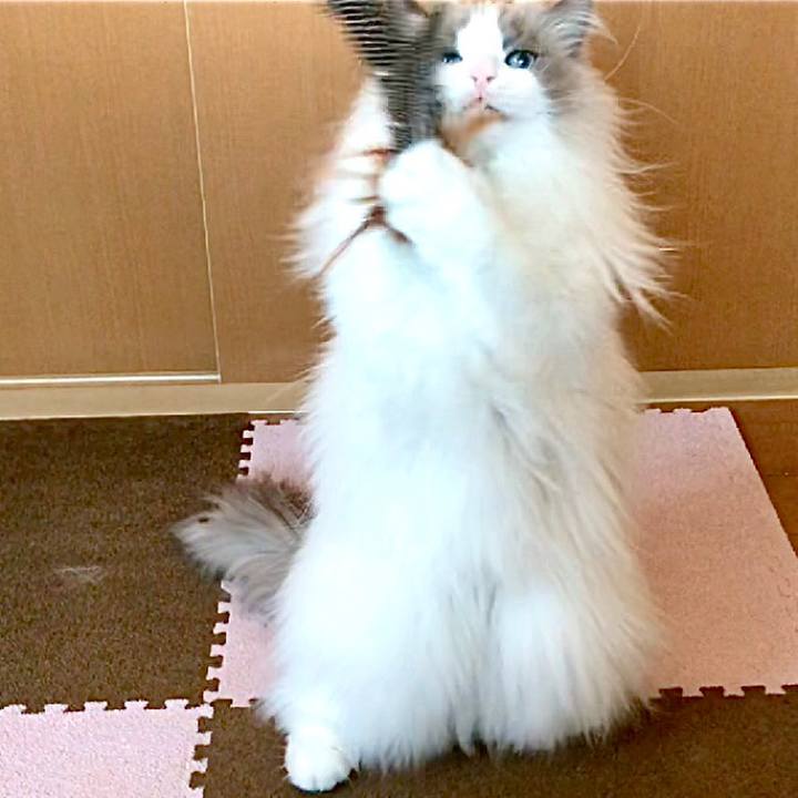 F9d282ec dc43 473f a042 056137f6af93 1584697485815