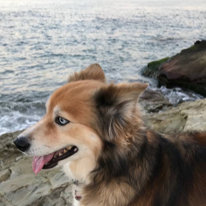 F9d28ac0 c5fe 44e8 a7d8 e3fb01b8e2b9 1545725374569