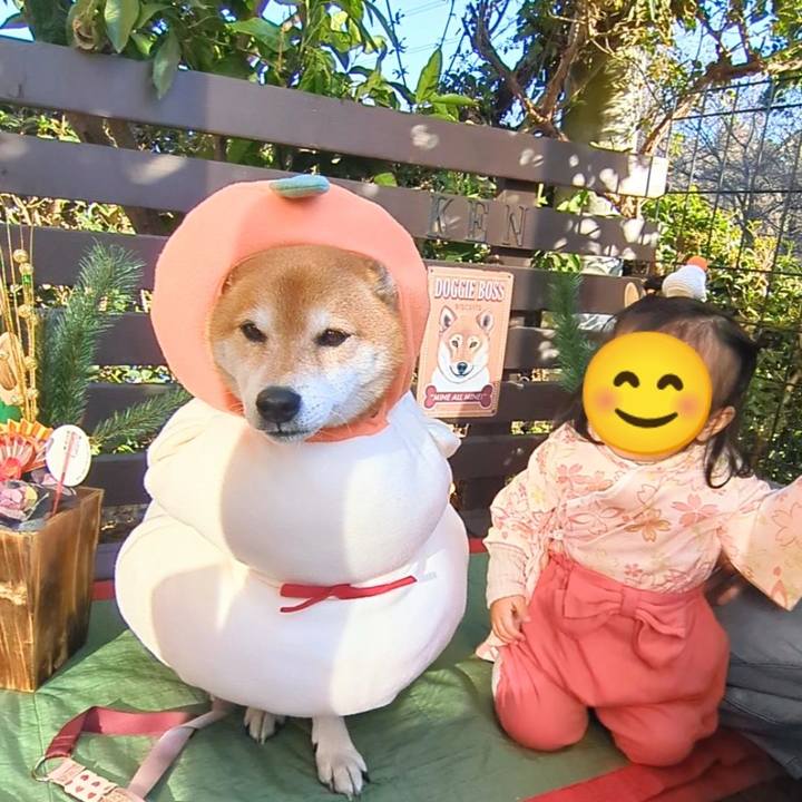 F9d2e10e 3940 45d3 a21c 25de4f6eacf8 1735953306124