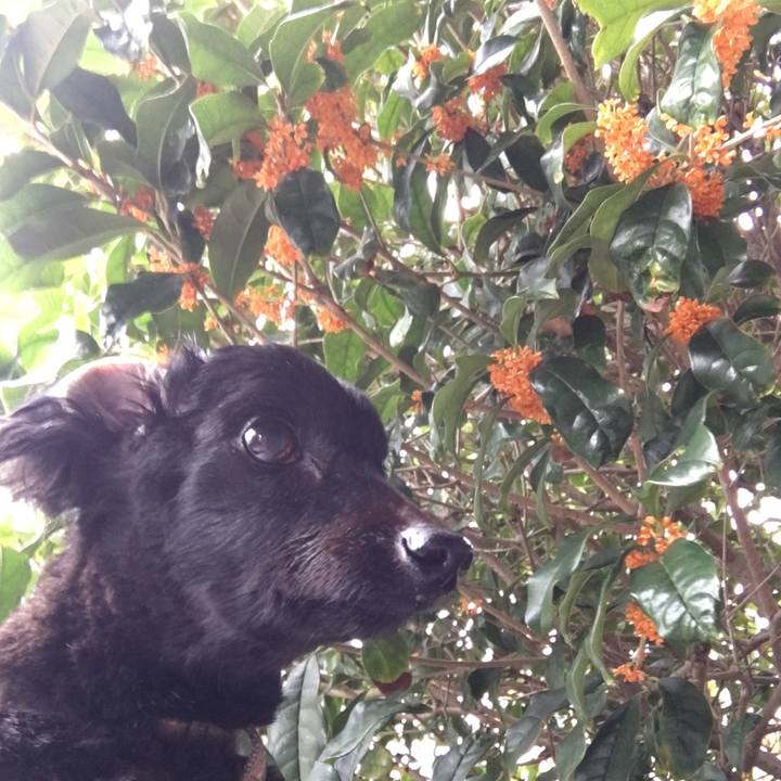 F9d30026 9035 47fa 8339 3c032aecf6b5 1602738704485