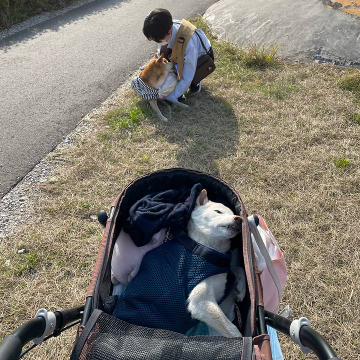 F9d3159b de1f 4403 add5 e3a35ced5284 1678713454944