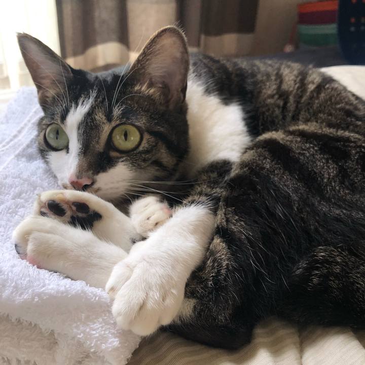 F9d31da9 5b40 4e30 9040 cb00eab60715 1563445784797