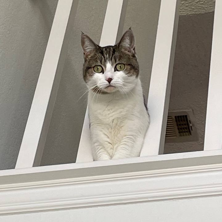 F9d32b3b 237d 4c3b bd89 6d318259e351 1769556431545