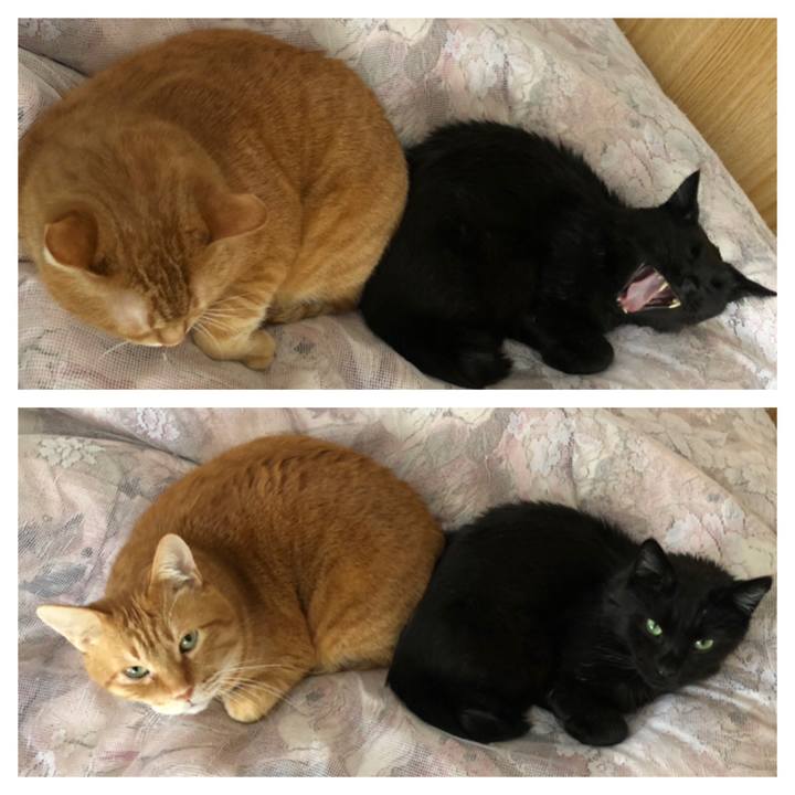 F9d3717e d671 44a9 8f9e 061dcf096046 1612680727990