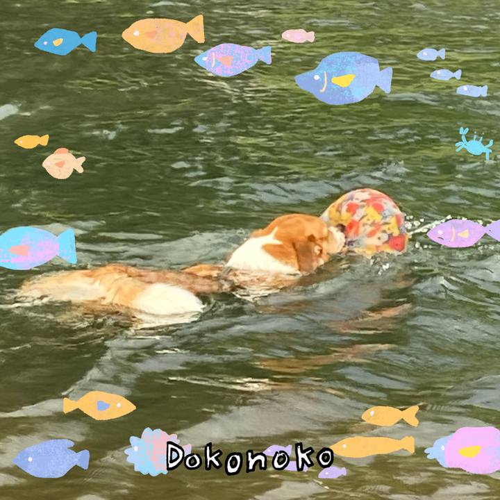 F9d39135 69c4 499c bbd3 144f384933e8 1755155393043