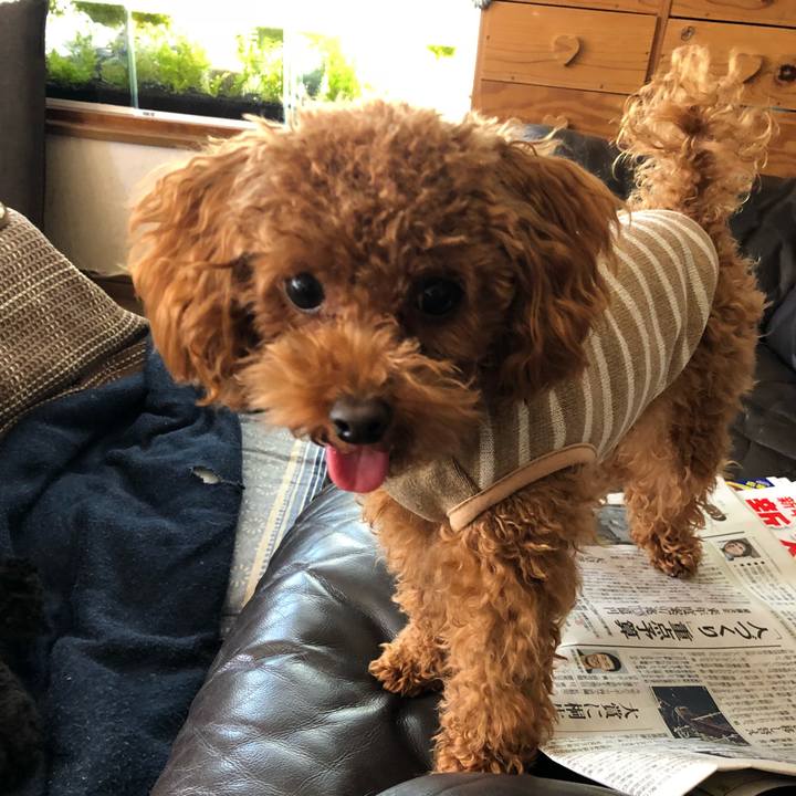 F9d39f0a 1b33 4d57 a93a 14cbcd873627 1514209952566