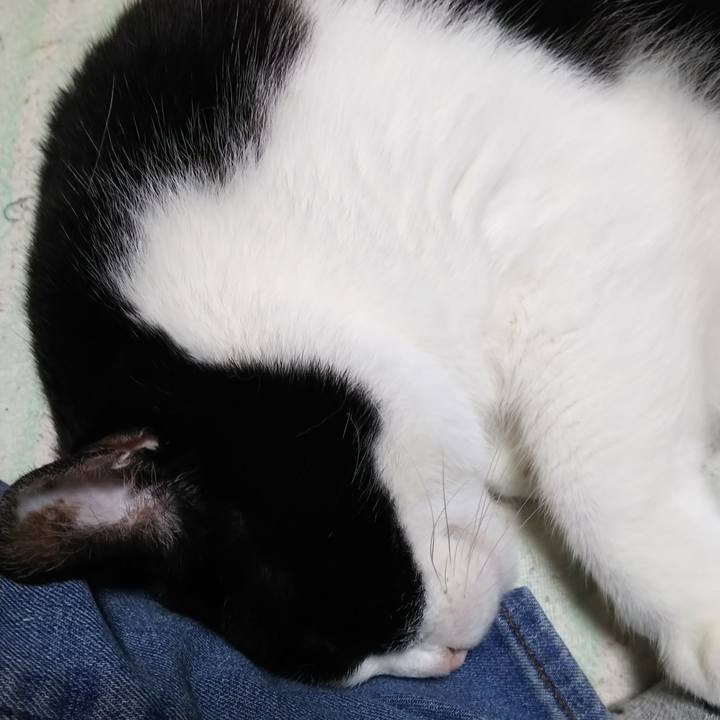 F9d3bdca c53c 4847 8ff6 3cc5ca7643d7 1560601710905