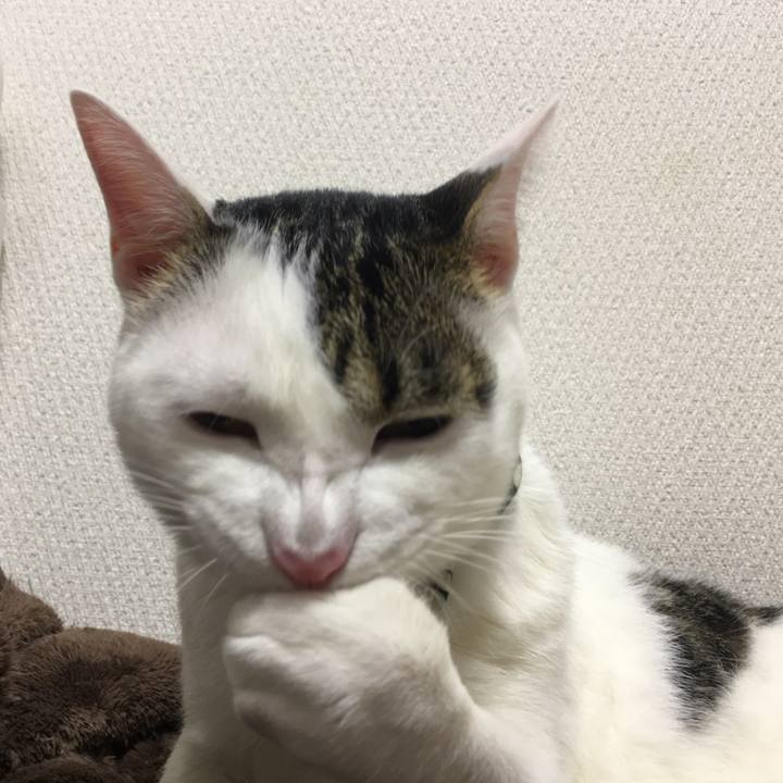 F9d3cd3f b93a 44e4 8171 06a1fc20a427 1508639016552