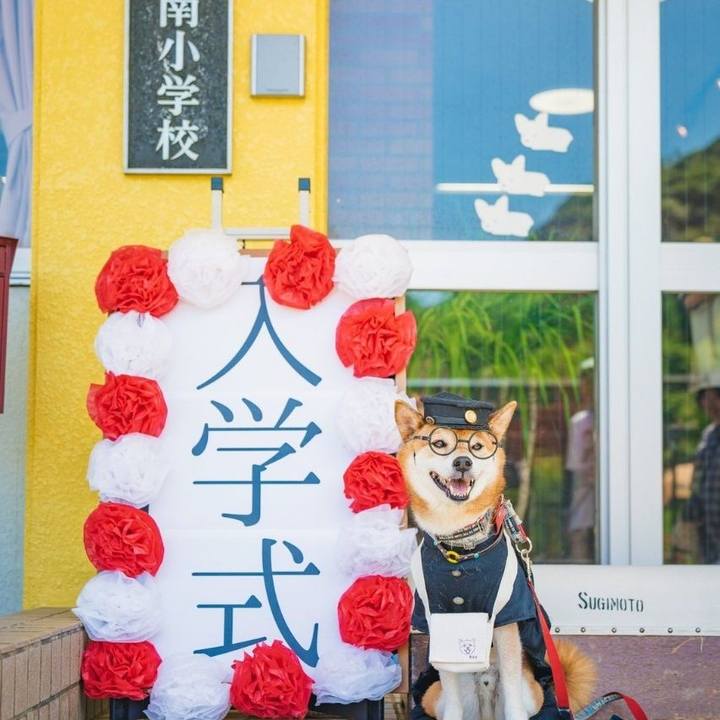 F9d3d83b 14e2 425d 9208 9ea4bf5967e1 1724636525584