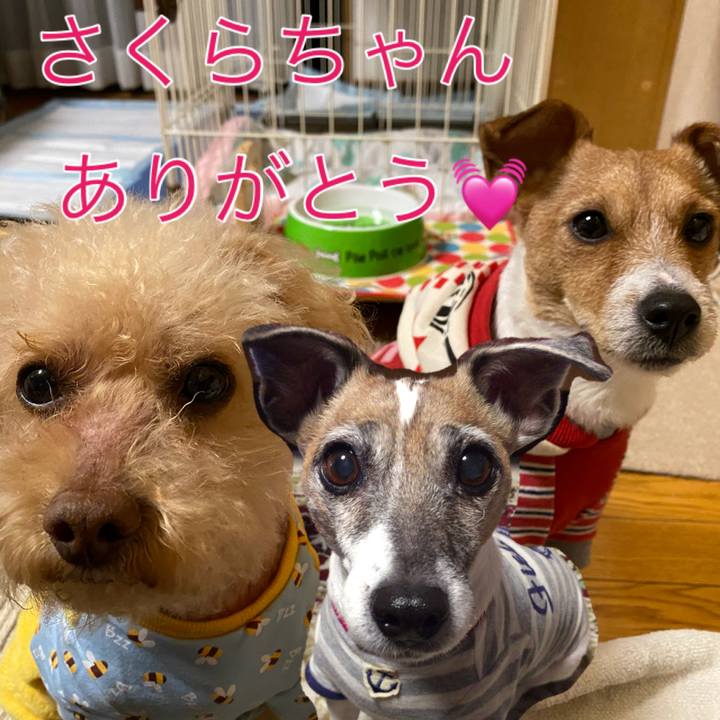 F9d3ee21 f36d 4bd9 adf6 30907602ad08 1579512111278