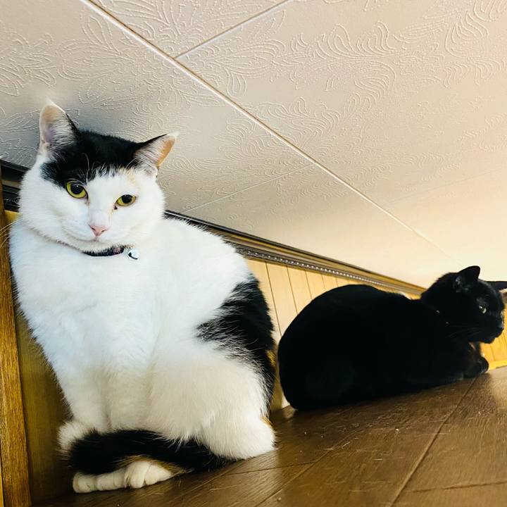 F9d3f1f6 2d86 43e3 80e7 b2cac7100f9c 1681305740613