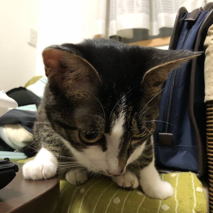 F9d40453 eca2 4aec 9da7 62381045c924 1534885780066