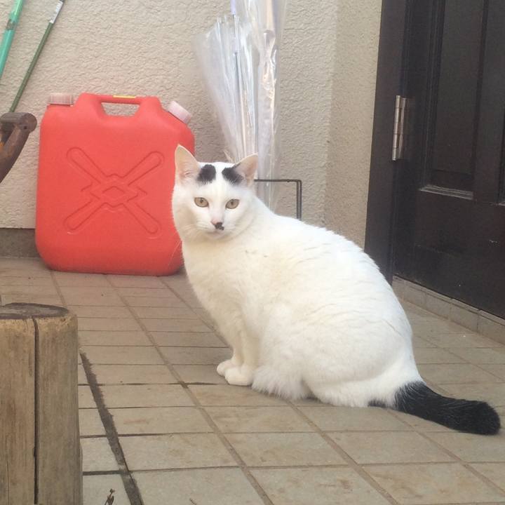 F9d40d0d a7ab 4ef3 9681 60a53565c7a3 1519487007448