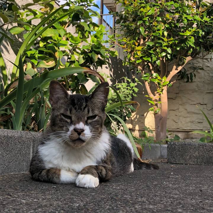 F9d42261 1249 4887 bfd7 8fff3f2b9b88 1569073276559