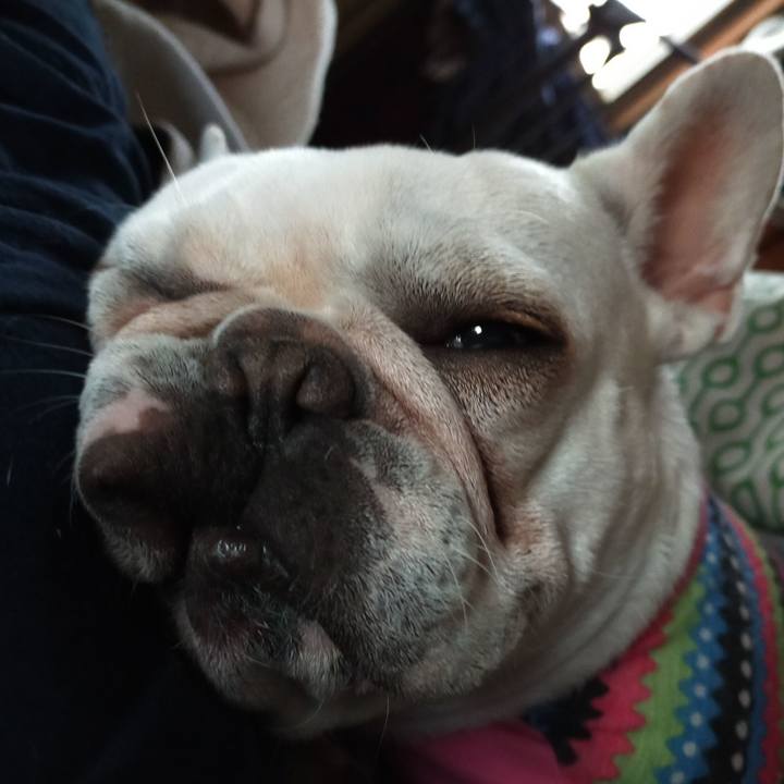 F9d426a1 dad8 4d43 b147 0ab26011aaf7 1635974906930