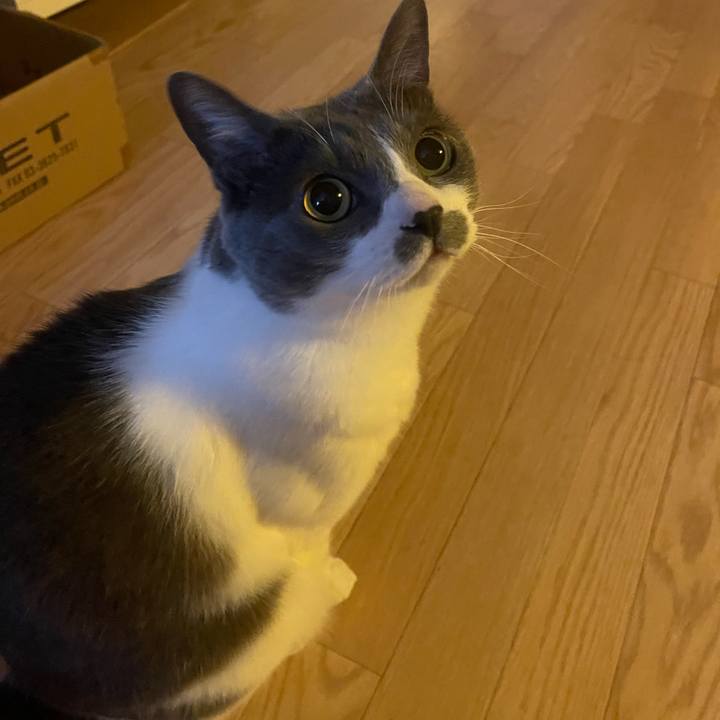 F9d473b6 f1a9 4338 8ab5 7469aa5488d7 1746743245266