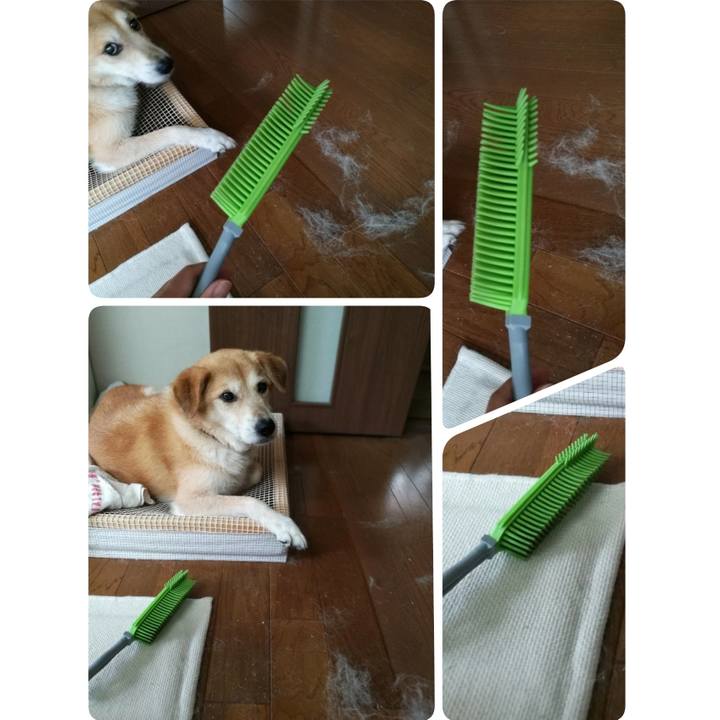 F9d4bbd6 c094 44d0 8ad3 a55a63287e13 1535256096204