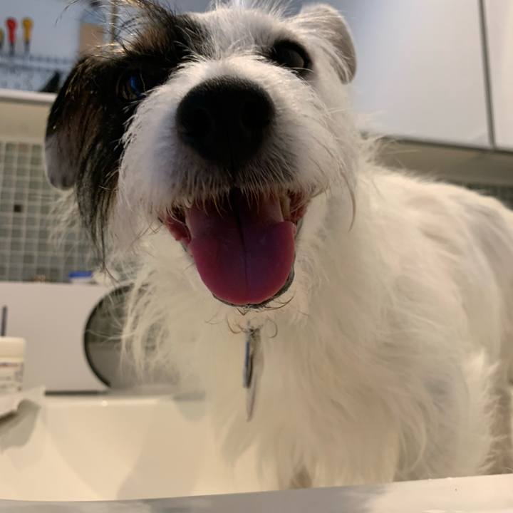 F9d4e174 2849 407a 958e d315b5446507 1627602073099