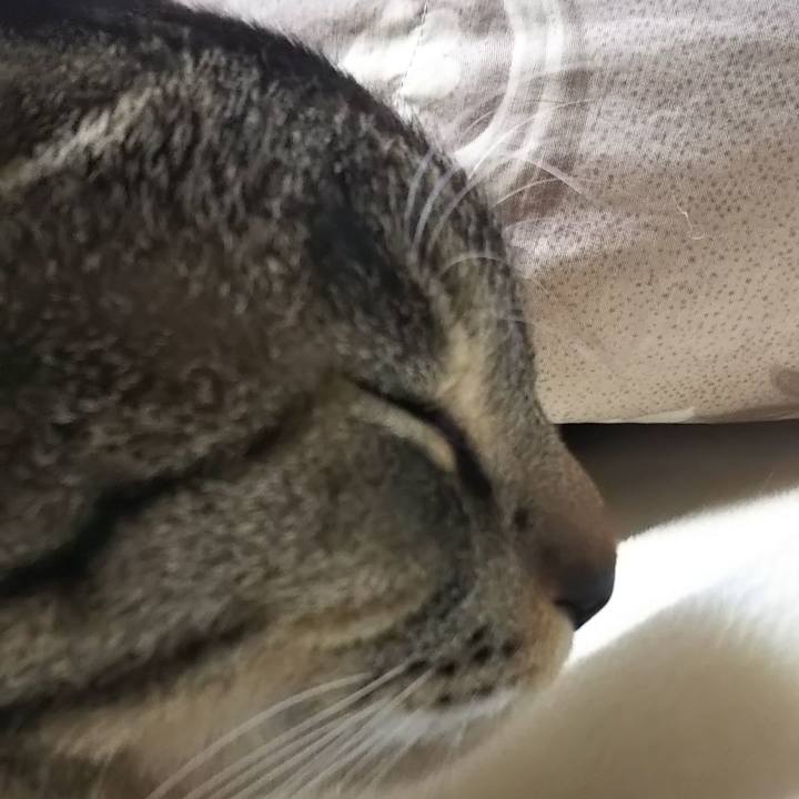 F9d4e47d d8eb 4d1b aba4 50cab98de996 1610097831727