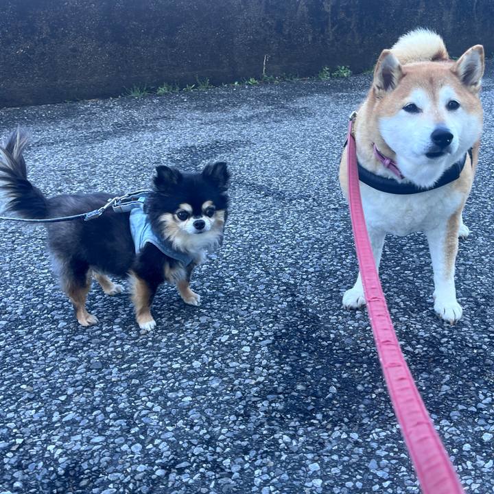 F9d50d21 4a3b 4e3f 9384 48b346d75e9b 1709286938651