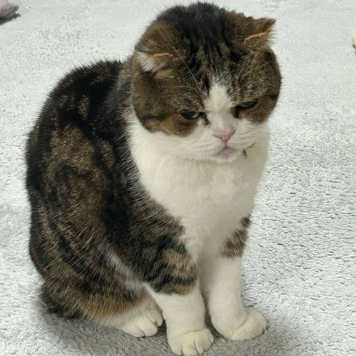 F9d53a34 bcb2 4c66 9125 4bfd3b87ec7d 1769412515489