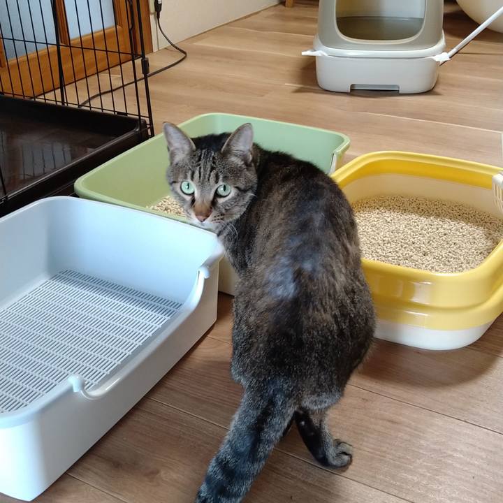 F9d5642a 10ef 4a94 a903 a82a4b97be76 1614914311105