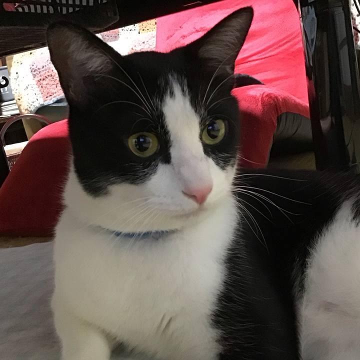 F9d567a7 59cd 4a85 9e05 a64b593c5716 1690805330393