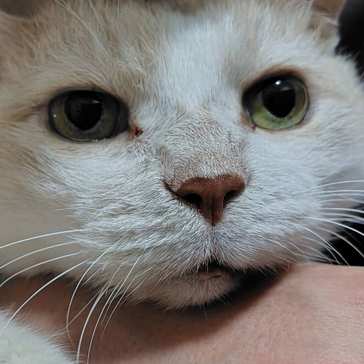 F9d57497 086f 4d16 8cbe 57de1f30f355 1757376643301