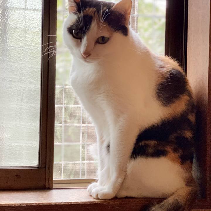 F9d580c5 4e73 4d7c 9b3f 0acdc1589957 1541730229303