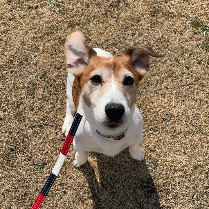 F9d59f6b dde6 47e8 bc27 20231471c753 1551671213443