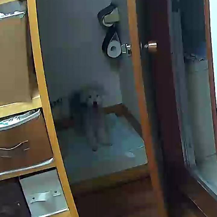 F9d5b625 5dfb 45a9 b189 39a0ba889e12 1630482939002