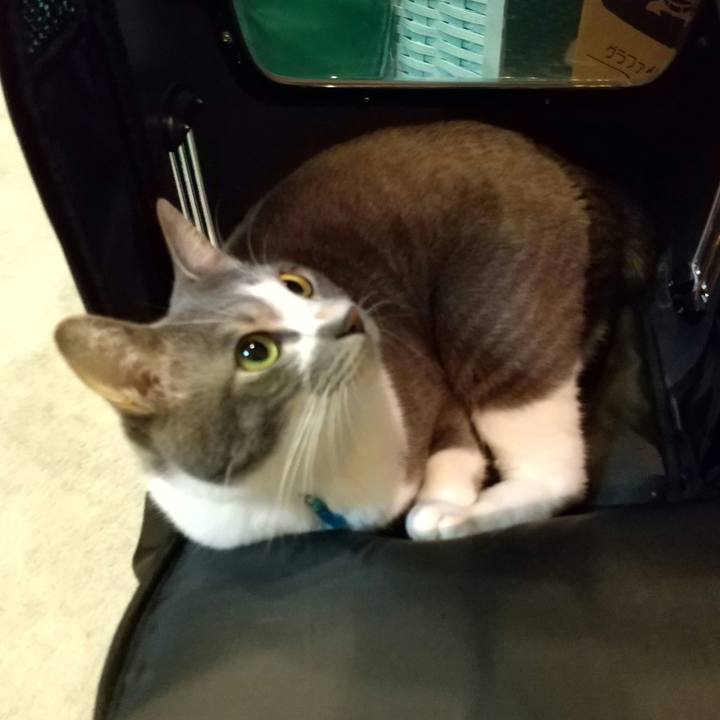 F9d5d010 8dab 420e 988d c52ad365ac98 1637409932374