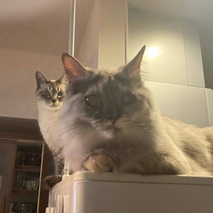 F9d60cb4 f112 4beb a3a8 b8c698f1700a 1749871811198