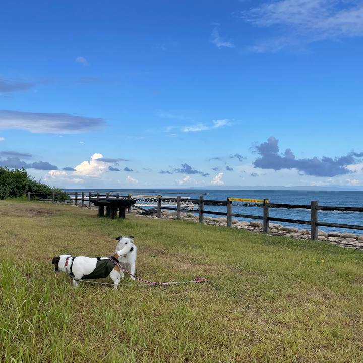 F9d61659 3569 40b2 aa7a 3dce9d50fd7f 1754610569700