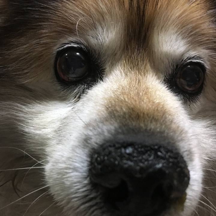 F9d620d2 7730 4e7b 96a8 2404d71530e9 1607328218771