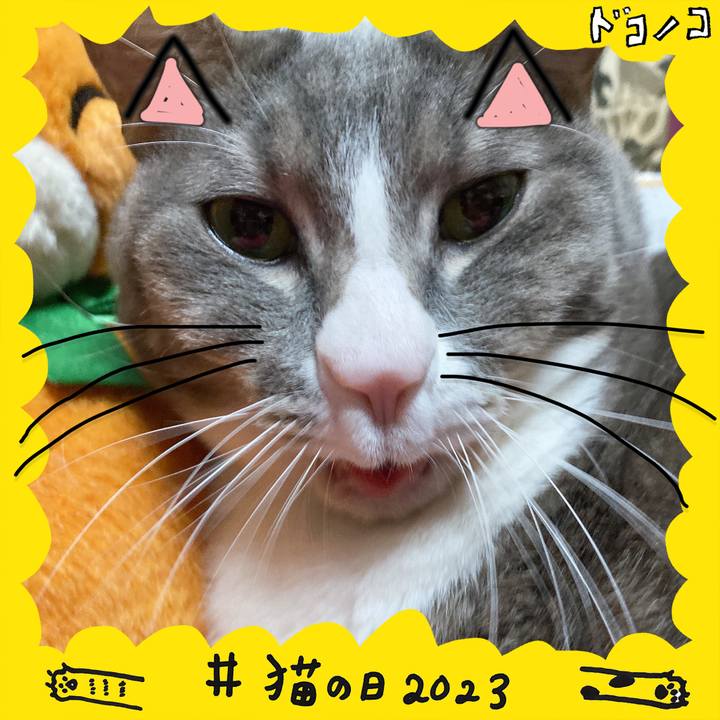 F9d62331 3cd1 4e34 abea 3f2527b85178 1677064848234