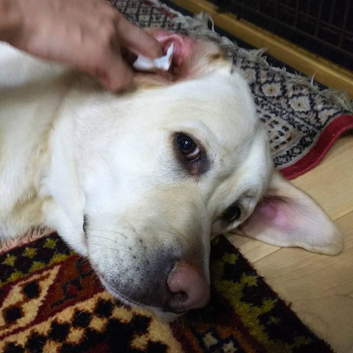 F9d63ce4 302b 449c b6bd 077a0a343ab6 1547464698601