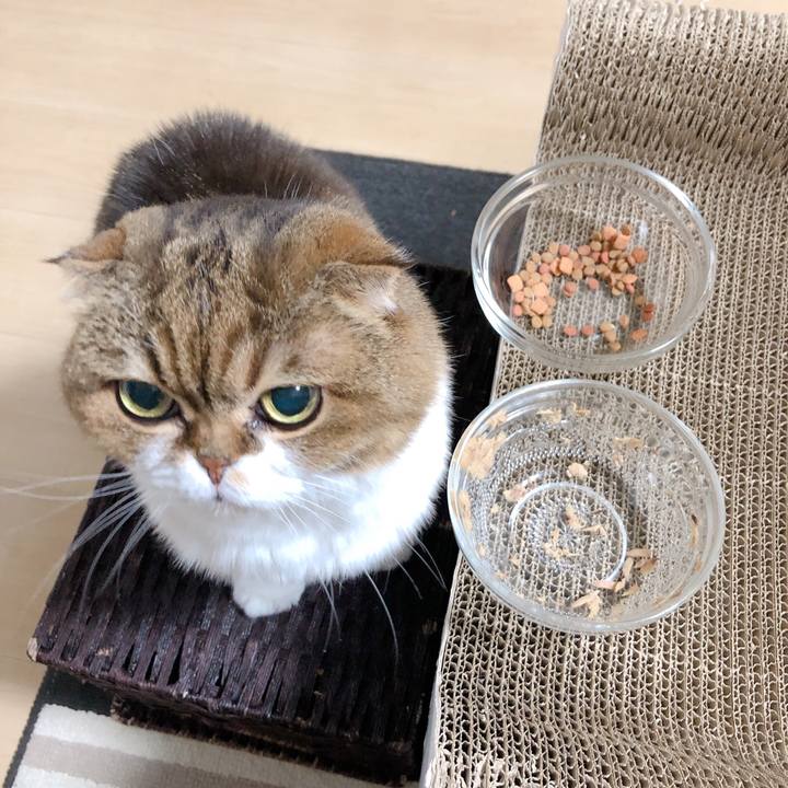 F9d64e00 ea7d 40d1 9e30 6fe45ba2a1f9 1599055138001