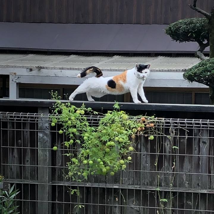 F9d677c0 57bc 4c3c a102 96ca6df13714 1605782525989