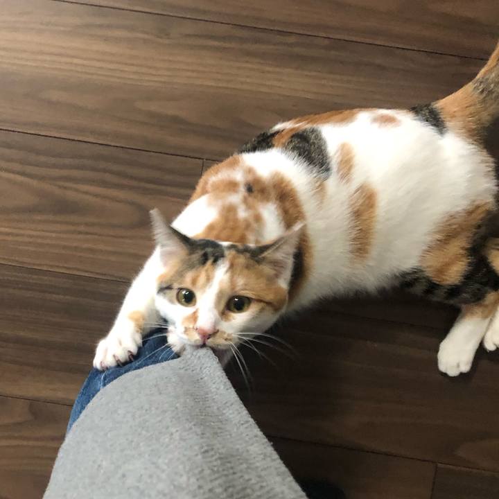 F9d6b17b 58a5 4283 a817 39fee91d3f5e 1584056179956