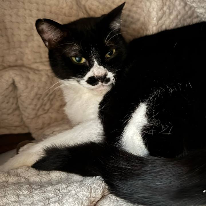 F9d6d8aa e818 4a9b 9b79 4614622d918c 1741219317507