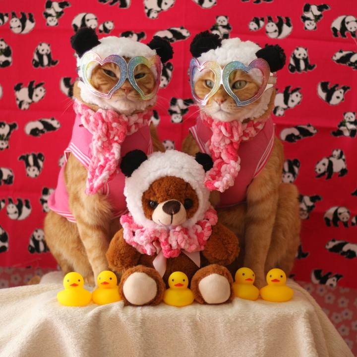 F9d6da5c b2c9 46e8 94ed c5abe21fd9de 1517902799205